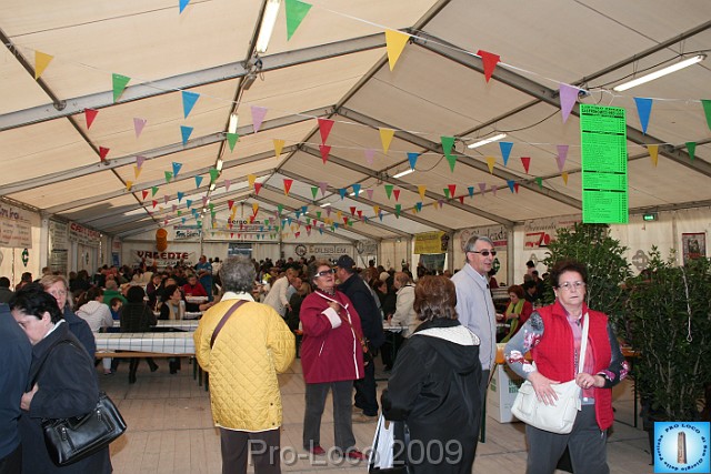 In prà della Antica Fiera di Arsego (90).JPG